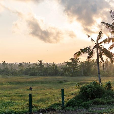 The Hillside Resort Siargao ゼネラル・ルナ エクステリア 写真